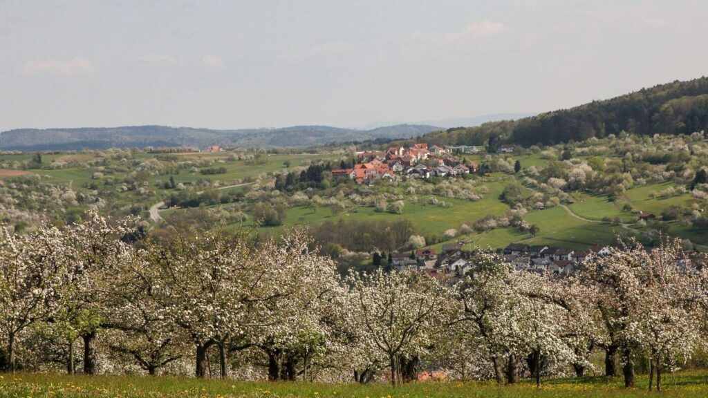 Blühende Obstbäume umgeben mehrere kleine Ortschaften in einer grünen Hügellandschaft mit Wiesen, Feldern und bewaldeten Höhenzügen.