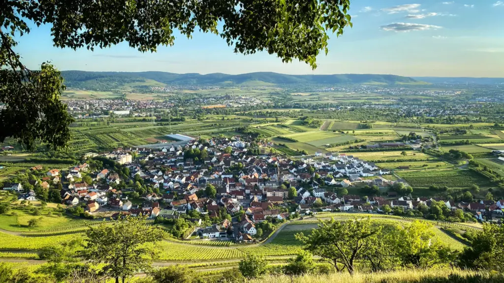 Blick über eine Ortschaft im Remstal, umgeben von Weinbergen, Feldern und bewaldeten Hügeln unter blauem Himmel.